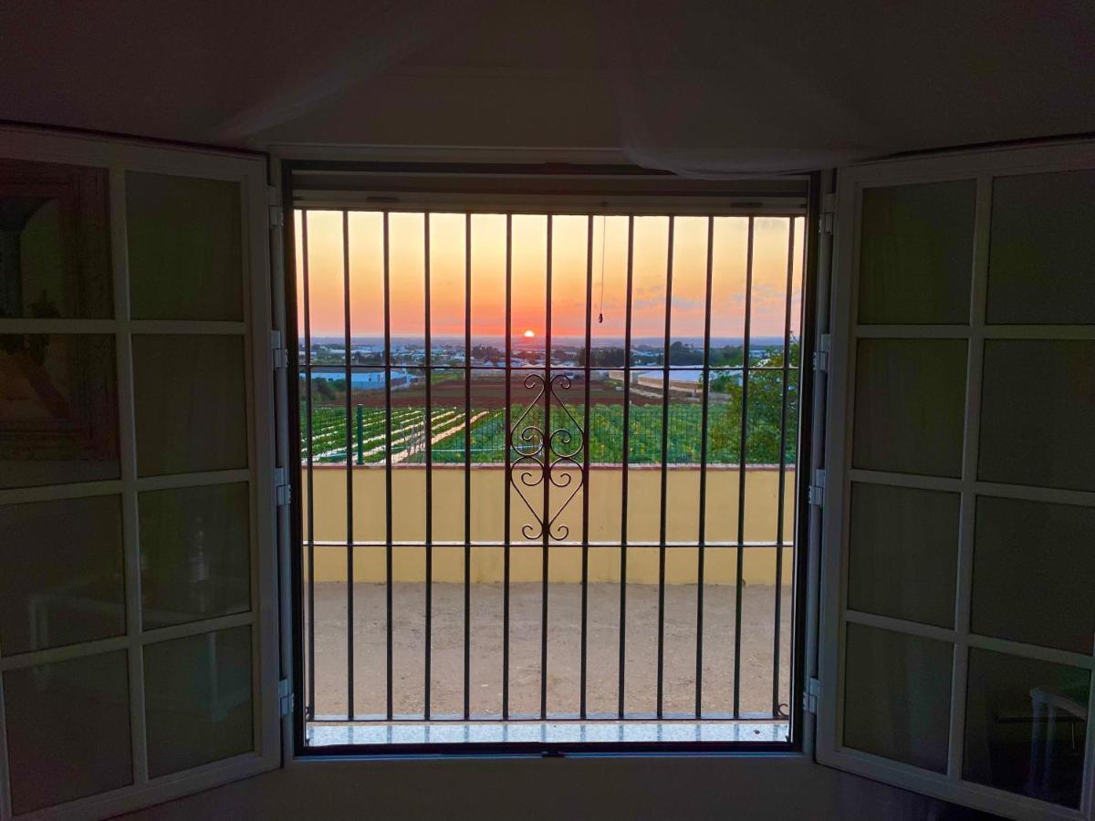 Chalet En Conil, Descansa Y Disfruta Conil De La Frontera Dış mekan fotoğraf